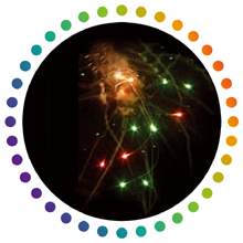 pandafireworks|windafireworks|brightstarfireworks