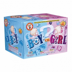 Boy or Girl(Assorted Case) Pink