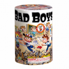 Bad Boys