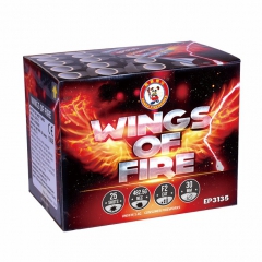 Wings Of Fire