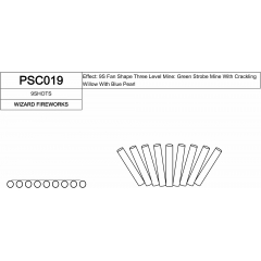 PSC019