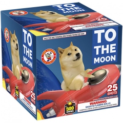 TO THE MOON